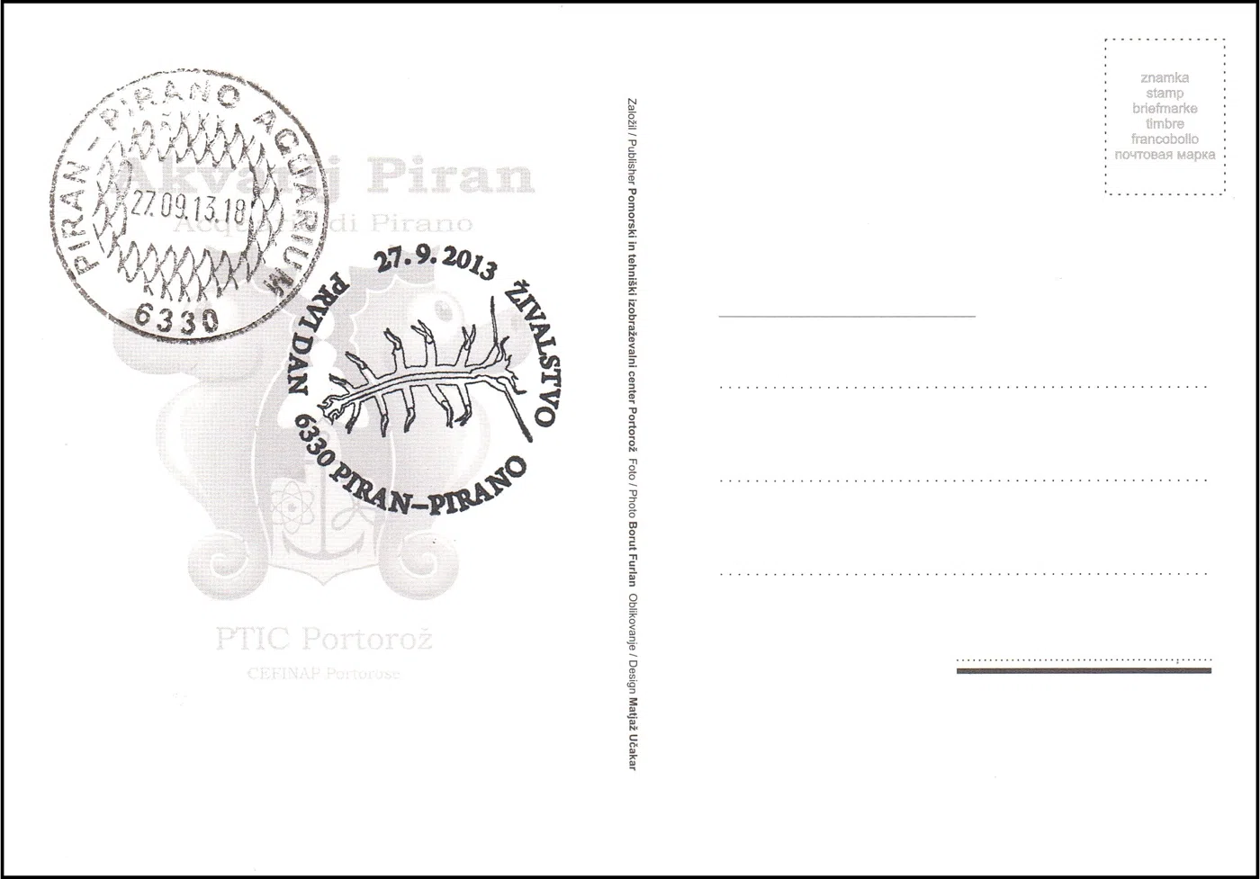 ŽIVALSTVO PRVI DAN